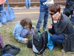A Nyíregyházi Vadasparkban járt az 1.b osztály