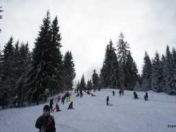 Biharfüredi szánkótúra