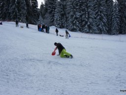 Biharfüredi szánkótúra