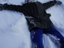 Biharfüredi szánkótúra