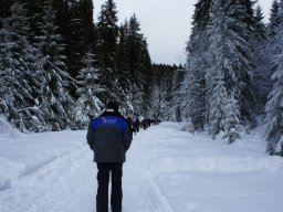 Biharfüredi szánkótúra