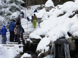 Biharfüredi szánkótúra