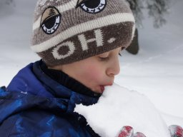 Biharfüredi szánkótúra