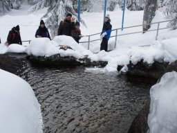 Biharfüredi szánkótúra