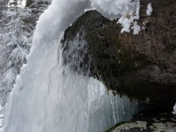 Biharfüredi szánkótúra