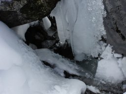 Biharfüredi szánkótúra