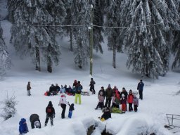 Biharfüredi szánkótúra