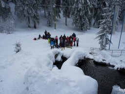 Biharfüredi szánkótúra