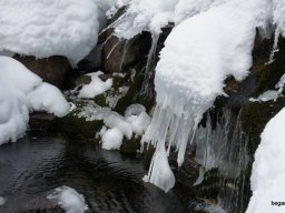 Biharfüredi szánkótúra