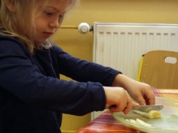 Egészség hét - Meserét