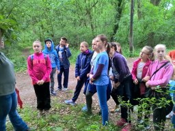 Kirándult az 5. évfolyam