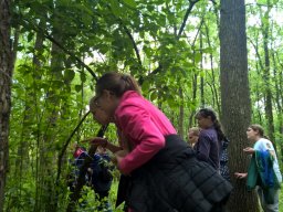 Kirándult az 5. évfolyam