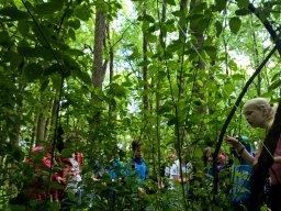 Kirándult az 5. évfolyam