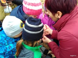 November a Csodavár csoportban