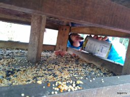 November a Csodavár csoportban