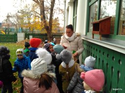 November a Csodavár csoportban