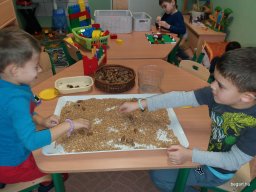 November a Csodavár csoportban