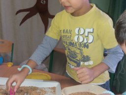 November a Csodavár csoportban