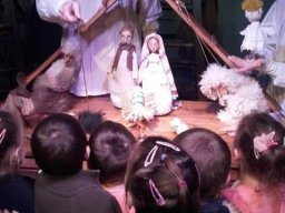 November a Zengőerdő csoportban