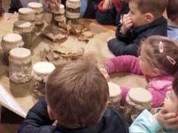 Kirándult a Zengőerdő csoport