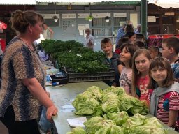 Fenntarthatósági témahét a 2. a osztályban