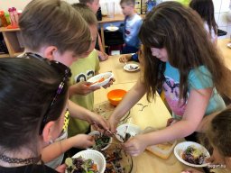 Fenntarthatósági témahét