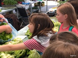 Fenntarthatósági témahét