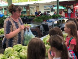 Fenntarthatósági témahét