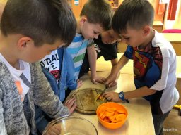 Fenntarthatósági témahét