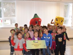 November a Zengőerdő csoportban