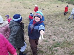 Február a Csodavár csoportban