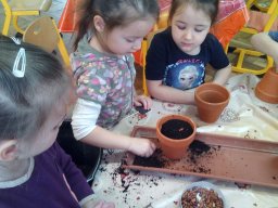 Február a Zengőerdőben