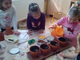 Február a Zengőerdő csoportban