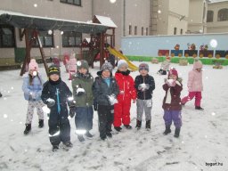 Február a Zengőerdő csoportban