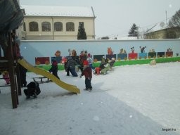 Február a Zengőerdő csoportban