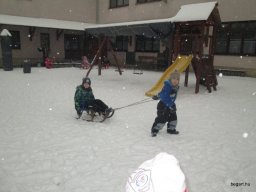 Február a Zengőerdő csoportban