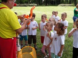 Kirándulnak a Zengőerdősök