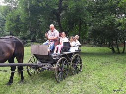 Kirándulnak a Zengőerdősök