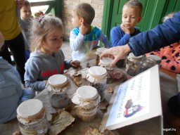 Október a Meserét csoportban