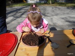 Október a Meserét csoportban