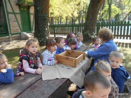 Október a Meserét csoportban