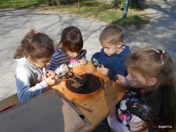 Október a Meserét csoportban