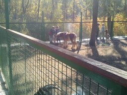 Október a nagycsoportban