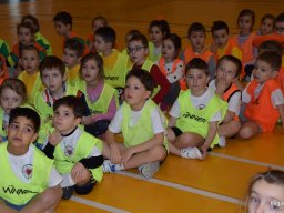 Foci a Csaba Parkban