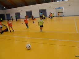 Foci a Csaba Parkban