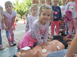 Rendőri forgalomirányítás