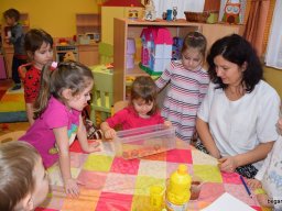 Január a Zengőerdő csoportban