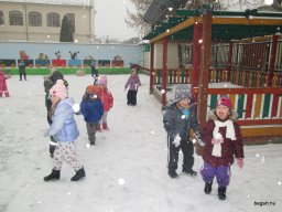 Január a Zengőerdő csoportban