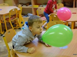 Január a Zengőerdő csoportban