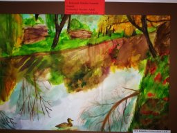 az ,,Egészséges környezet, a TERMÉSZET” 